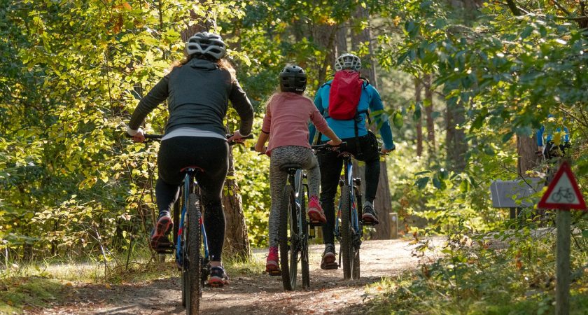 Organiser une sortie à vélo en famille : les essentiels à retenir