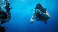 Où et quand faire de la plongée en Guadeloupe ?