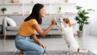 Astuces pour persuader un propriétaire d’accepter les animaux de compagnie