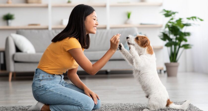 Astuces pour persuader un propriétaire d’accepter les animaux de compagnie